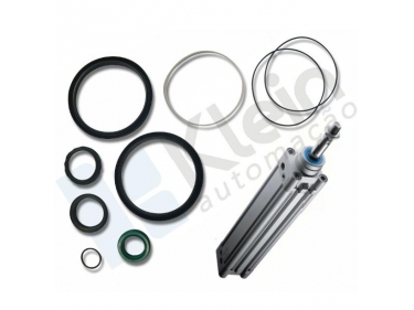 Kit de Reparo para cilindro DNCK